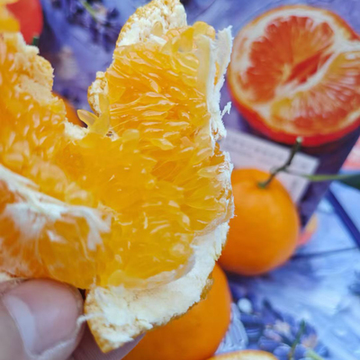 阿斯蒂娜蜜柑4斤装礼盒顺丰包邮