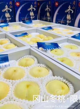冬桃水蜜桃冈山品种冬季限定6-9个装礼盒随机
