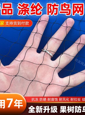 果园果树大棚专用防鸟网黑色涤纶防护网养殖鱼塘泥鳅蟹池防鸟天网