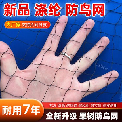 果园果树大棚专用防鸟网黑色涤纶防护网养殖鱼塘泥鳅蟹池防鸟天网