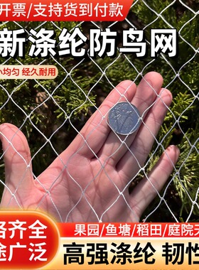 涤纶防鸟网果园果树鱼塘葡萄天网大棚拦鸟合股线网果农防鸟用的网