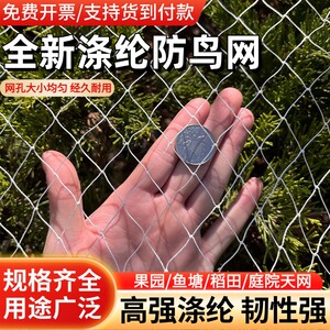涤纶防鸟网果园果树鱼塘葡萄天网