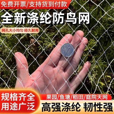 涤纶防鸟网果园果树鱼塘葡萄天网
