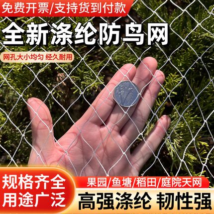 涤纶防鸟网果园果树鱼塘葡萄天网大棚拦鸟合股线网果农防鸟用的网