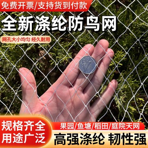 涤纶防鸟网果园果树鱼塘葡萄天网