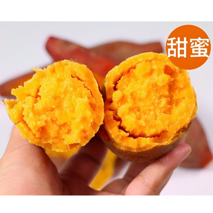 严选沙地龙九蜜薯红薯番薯糖心新鲜黄心烤地瓜山芋农家自种板栗