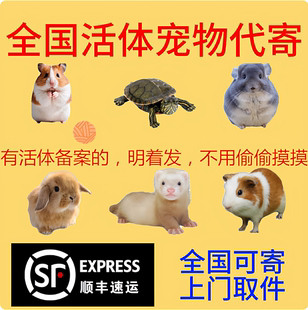 全国顺丰 全国顺丰代寄活体活物 京东代发活体活物