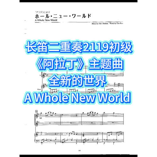 长笛二重奏2119初级《阿拉丁》 全新的世界 A Whole New World
