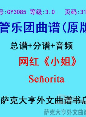 3.0级网红小姐钢琴吉他定制管乐