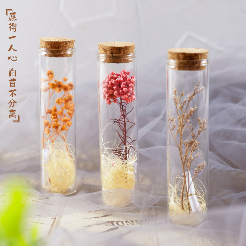 手作玻璃许愿瓶干花送朋友礼物