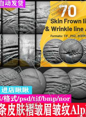 zbrush人体物角色zb雕刻笔刷褶皱眉皱纹嘴唇皮肤psd纹理alpha素材
