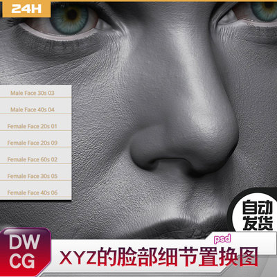 XYZ 脸部皮肤 ZBrush笔刷 面部ZB笔刷 Displacement 毛孔