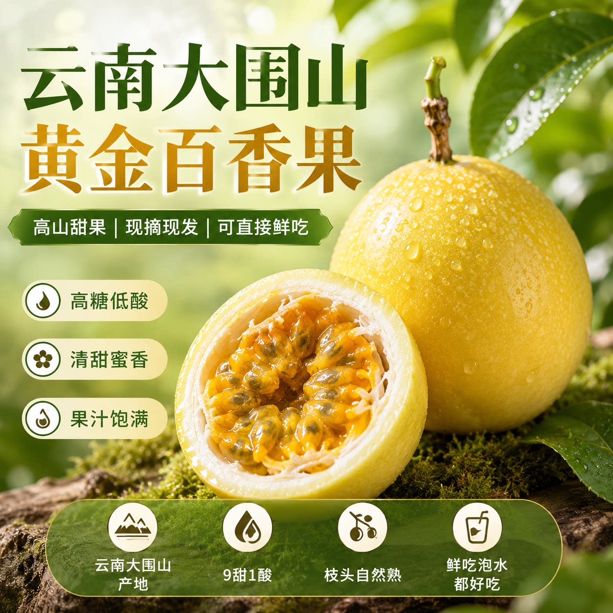 大果云南黄金百香果钦蜜9号新鲜水果白香果树熟味甜肉厚现摘现发