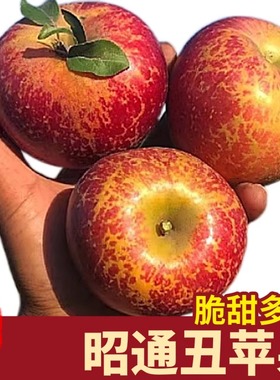 2025年头茬昭通冰糖心丑苹果产地直发5斤昭通苹果红富士新鲜水果