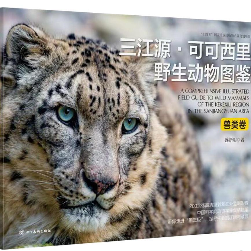 三江源可可西里野生动物图鉴兽类卷收录高清野外雪豹藏羚野牦牛猞猁藏狐高原鼠兔地理分布生活习性生存现状研究图鉴四川美术出版社