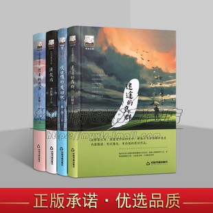 发动机渔鼓殇鲁敏汪修荣赵网等著中国当代文学散文小说作品集紫金山文学中国书籍社 鸟群吹口哨 紫金文库全套4册逝者 恩泽迷途