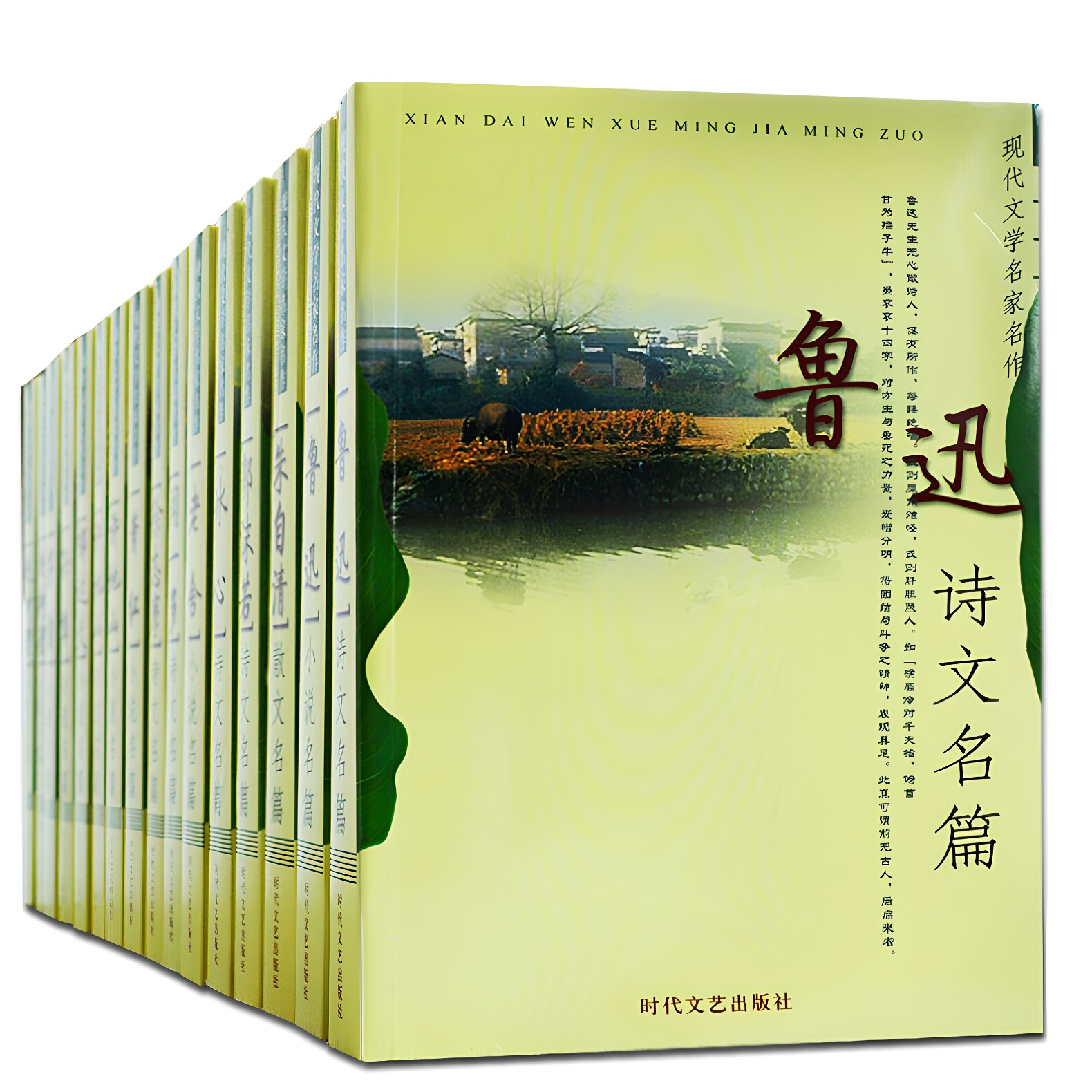 包邮现代文学名家名作冰心萧红老舍茅盾闻一多许地山郁达夫郭沫若朱自清赵树理鲁迅文集儿童青少年学生诗歌小说散文著畅销书籍