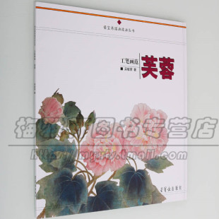 中国画技法画法步骤如何怎么样画基础入门教程花鸟花卉教学临摹范本画谱画册画集绘画艺术书籍 芙蓉 正版 荣宝斋技法丛书工笔画范