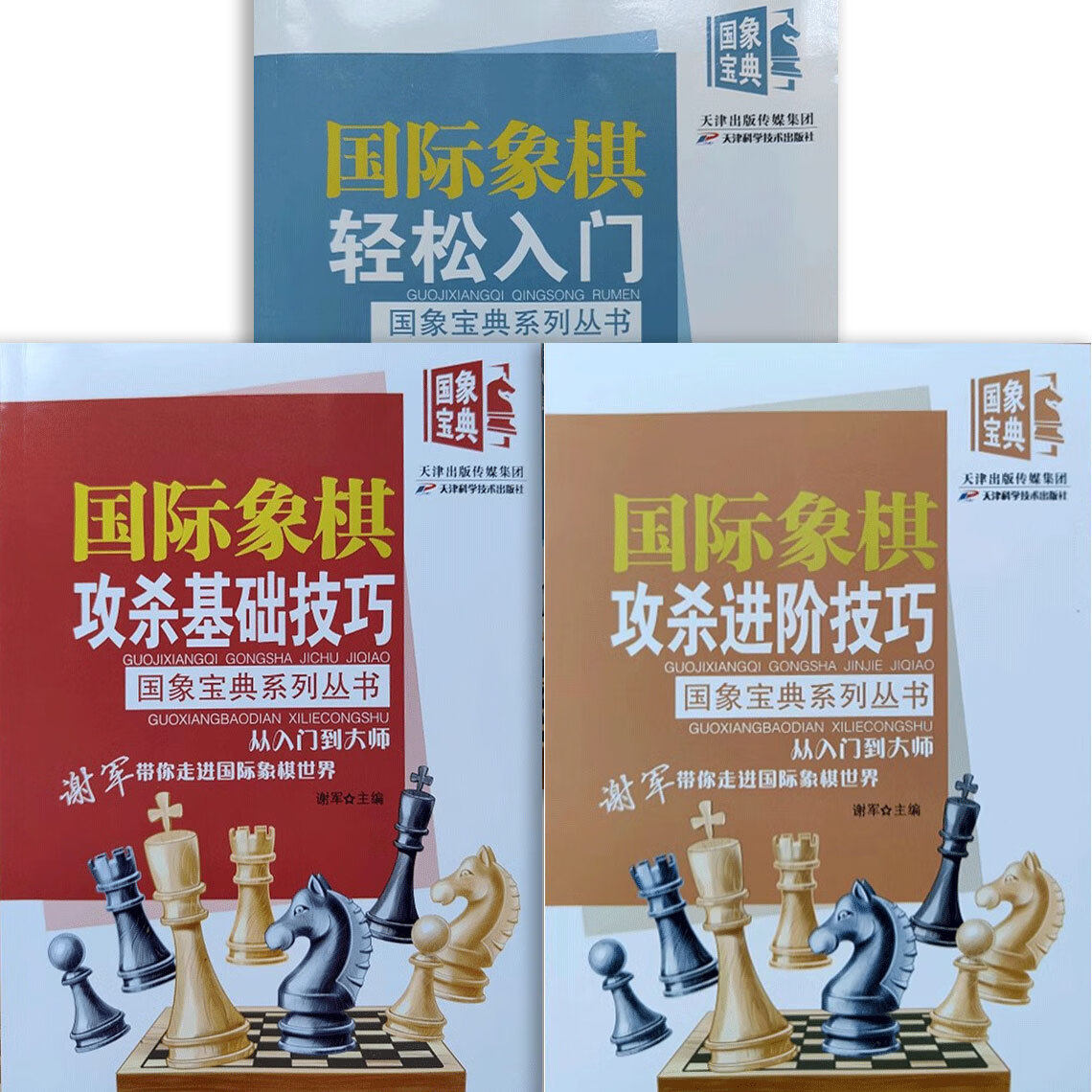 国象宝典系列丛书（共3册）国际象棋轻松入门 攻杀基础进阶技巧 开局布局中局残局杀技巧教程战术手册进阶棋谱教材指南 天津科技