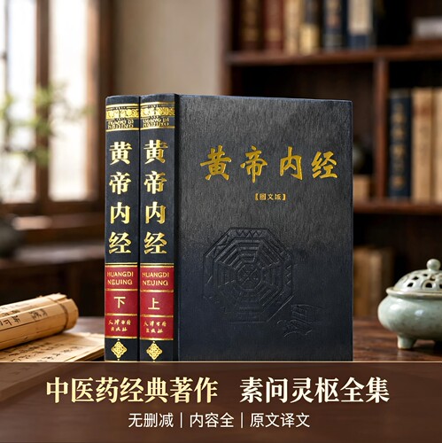 黄帝内经白话全注译2册正版