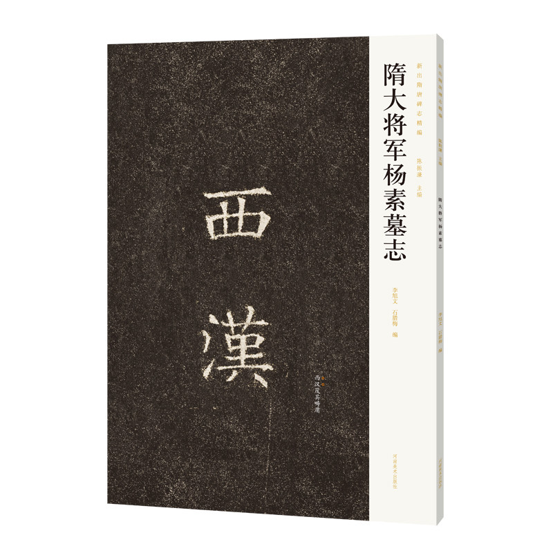 隋唐碑志精编 隋大将军杨素墓志楷书魏碑贴临摹字帖石刻原拓片毛笔书法篆刻初学者零基础入门临摹范本西汉软笔墨迹临摹河南美术