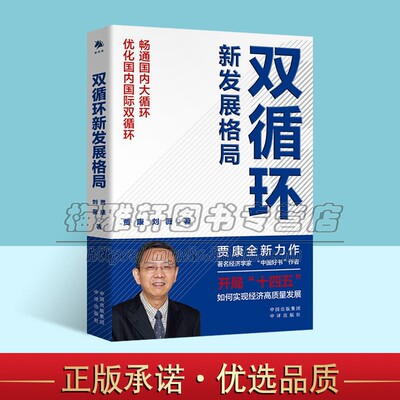 中国双循环新发展格局 深化供给侧结构性改革内需潜力介绍了解双循环格局经济概念国内大循环国内外经济发展书籍