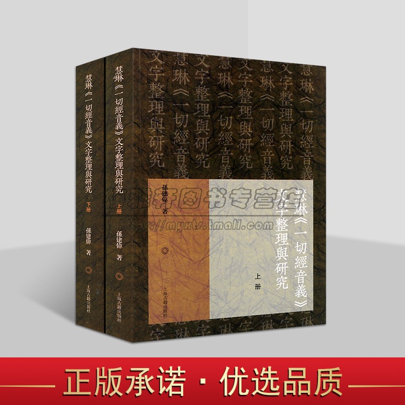 慧琳一切经音义文字整理与研究 孙建伟著唐代慧琳所撰佛经疑难字词音义书汉字演变辞书编纂编码参考资料古代佛经训诂上海古籍社
