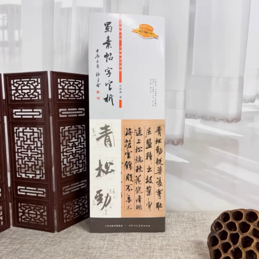 蜀素帖字字析【赠临摹字卡】吕英儒著米芾行书墨迹字帖蜀素帖638字视频讲解碑帖笔法临析毛笔临摹软笔笔法解析书法教程天津人美社