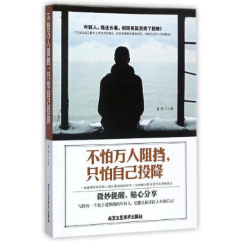 书籍 不怕万人阻挡只怕自己投降 童路 北京工艺美术出版社  励志与成功 成功学 其他品牌的书籍