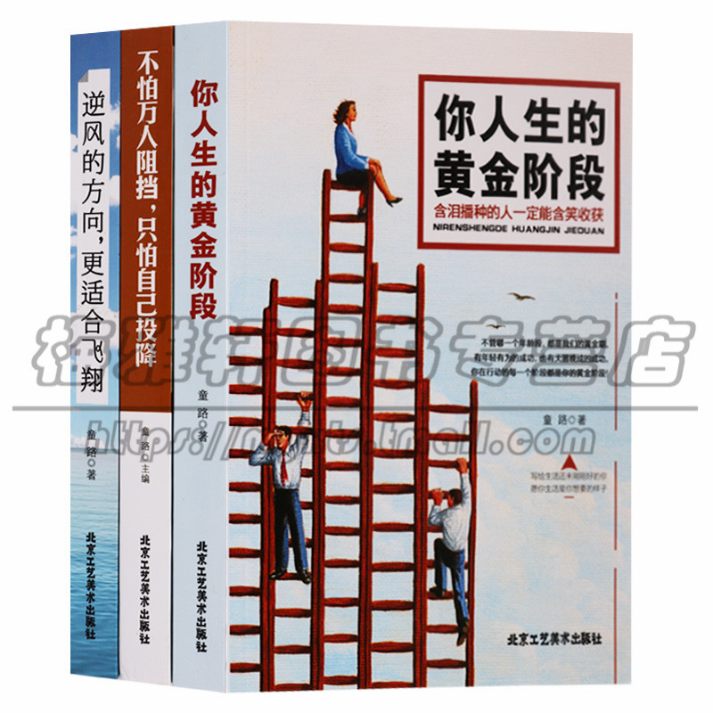正版 励志系列共3册 童路著 你人生的黄金阶段 不怕万人阻挡只怕自己投降 逆风的方向 更适合飞翔 成功励志书籍 北京工艺美术图书
