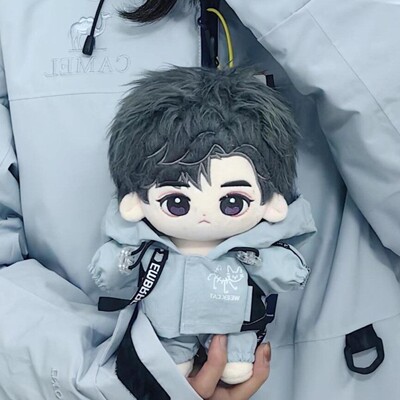 明星同人王俊凯20cm棉花娃娃带衣服超萌换装玩偶可爱帅气毛绒公仔