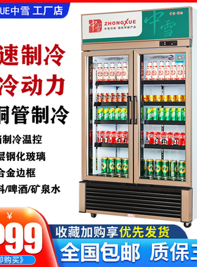 中雪LG-518/618升展示柜 立式双门冰柜超市保鲜柜饮料啤酒柜冰箱