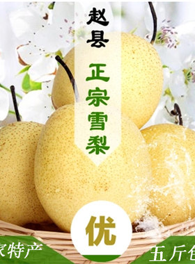 赵县雪花梨赵县雪花梨子新鲜9斤水果当季整箱5斤自家果园