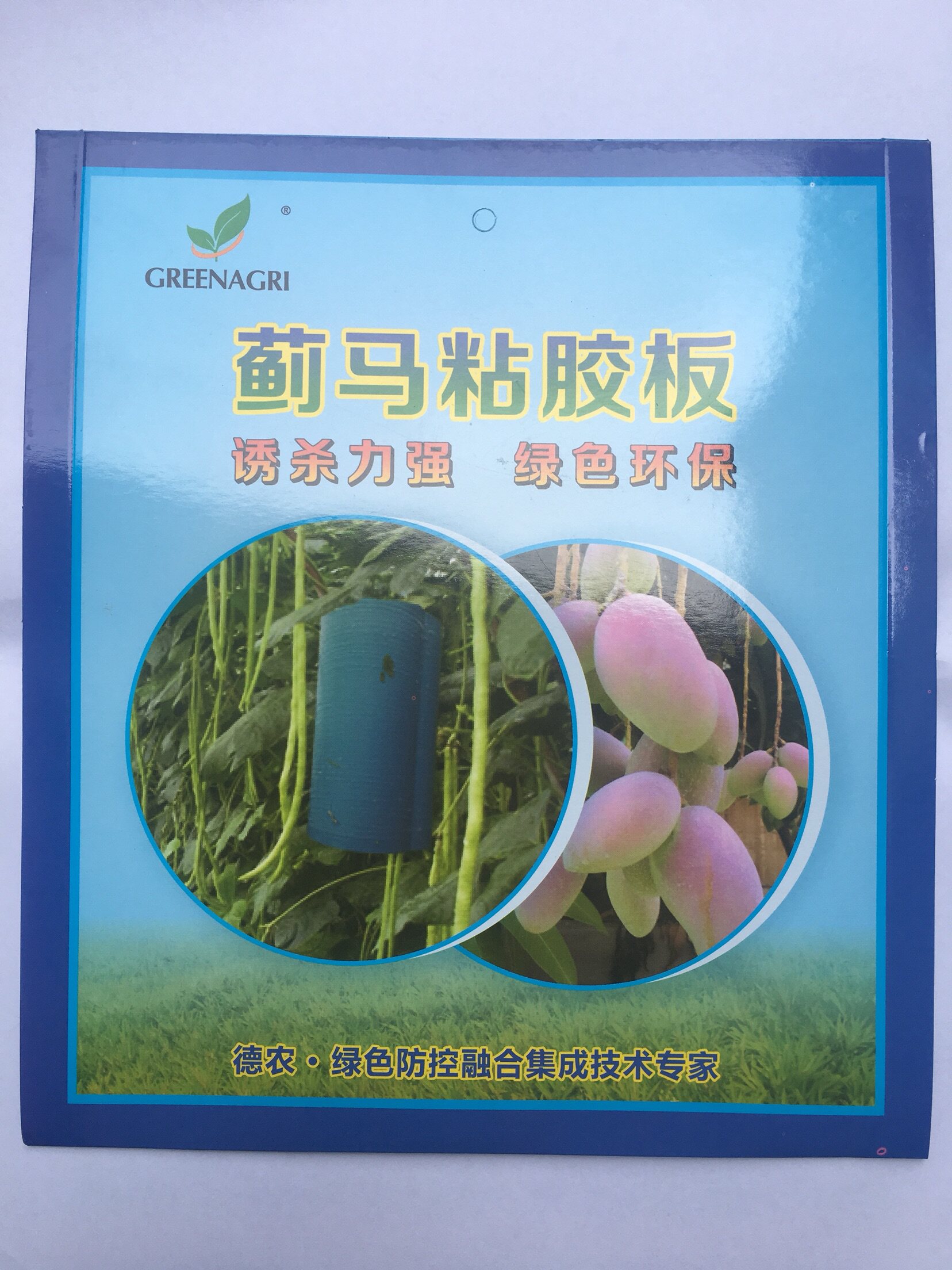 蓟马粘胶板 粘虫板 蓝板 月季铁线莲花卉预防蓟马 10片包邮