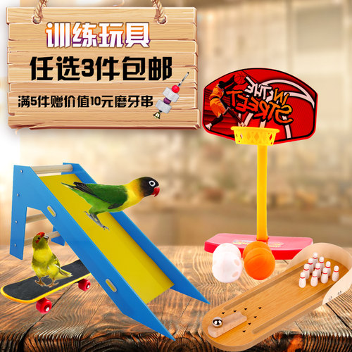 鹦鹉益智训练智力开发玩具  益智玩具训练神器 推车 滑板鸟玩具