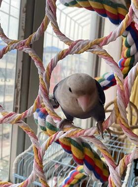 鹦鹉玩具 鸟类攀爬网 超大鹦鹉攀爬网圈 鸟玩具 鸟笼用品用具