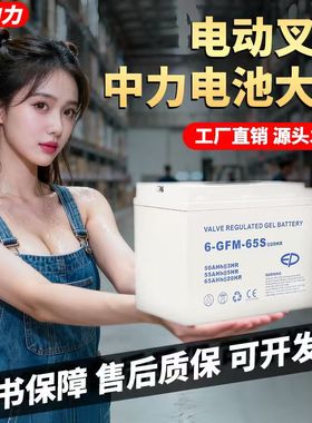 中力合力小金刚电动叉车配件叉车电池锂电池电瓶蓄电池12V30A65A