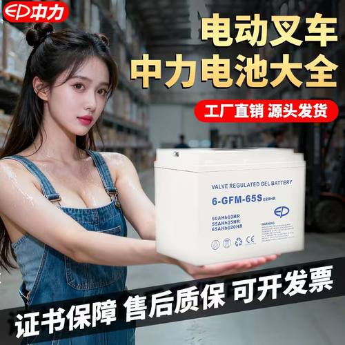 中力合力小金刚电动叉车配件叉车电池锂电池电瓶蓄电池12V30A65A