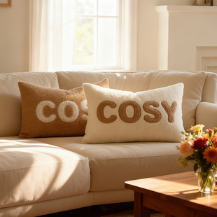 COSY秋冬款 柔软舒适 泰迪绒装 饰靠垫套 跨境毛绒刺绣抱枕套