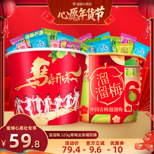 【26号0点付尾款】溜溜梅 520g青梅全家桶双桶囤货梅子梅冻零食