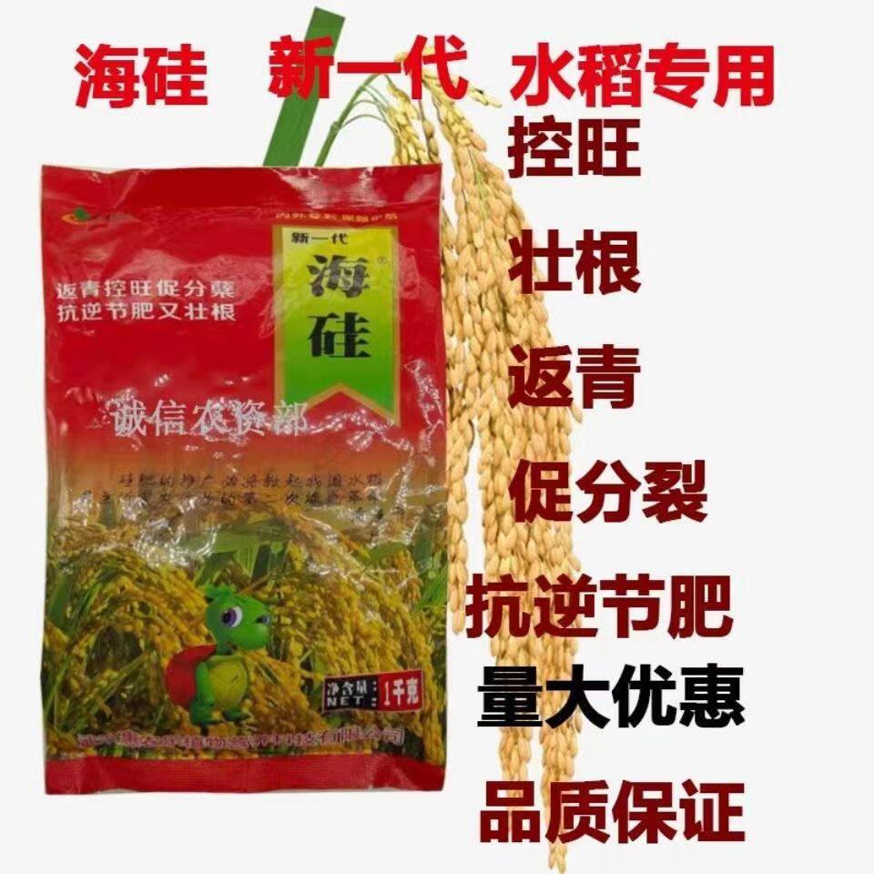 硅肥水稻专用有机进口硅肥返青控旺促分裂增产肥苗床壮苗撒施肥