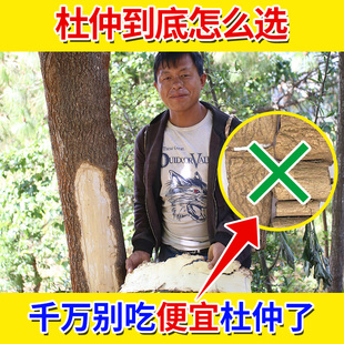 深山老树杜仲特级杜仲树皮500g正品包邮可配覆盆子泡茶泡酒