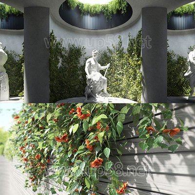 430+Blender Cycles Eevee园林景观爬山虎藤曼花草植物3D模型预设