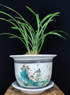 包邮景德镇陶瓷器超大号花钵落地树盆花盆铁树送接水盘香远溢清