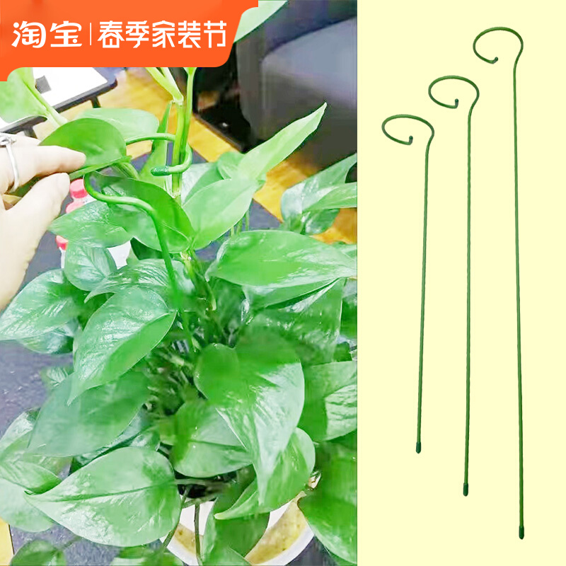 阳台绿植花卉支架蝴蝶兰支撑固定架月季爬藤防倒伏包塑铁艺花架子