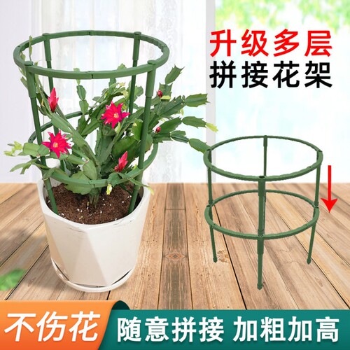 实用可拼接调节蟹爪兰花架子
