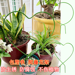 包塑铁艺山乌龟甲龙雪莹爬藤支架蝴蝶兰心形圆形造型支撑太阳花架