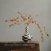 天然槟榔果干花复古文艺家居装 饰永生花拍摄道具小众植物艺术摆件