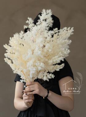 高级感真花树枝永久花桌面摆件