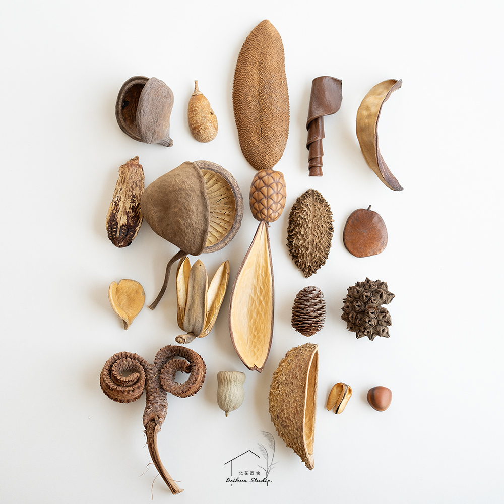 北花西舍天然进口干果收藏diy